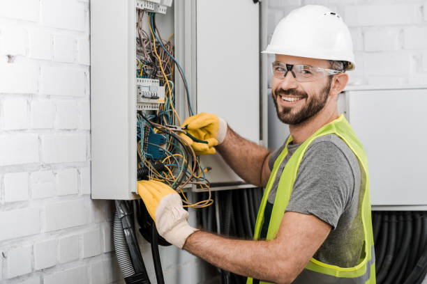 Best Electric Panel Repair  in Lakeland South, WA